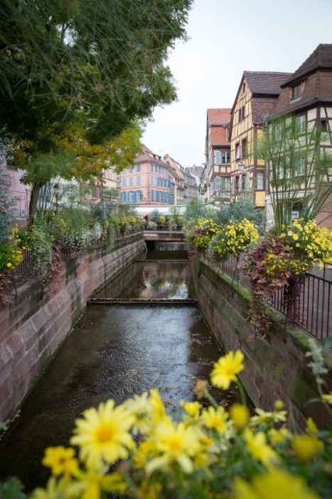 Colmar - 016